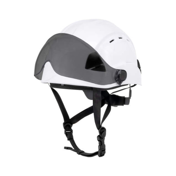 DEWALT® Anti-Fog Type II Helmet Visor Smoke AF+ Lens for DPG22